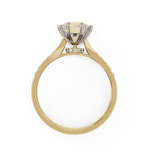 Diamond Engagement Ring | Pavé Ring | Ozziva